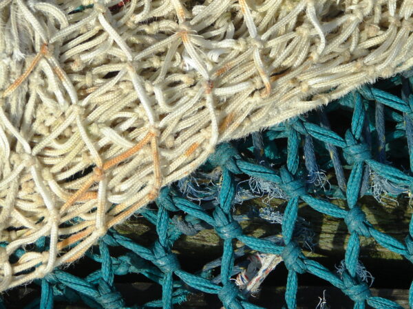 WTO: entry into force of the agreement limiting subsidies to overfishing