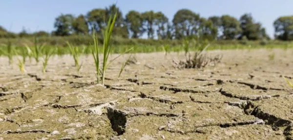 AfDB supports Mozambique against drought with $2 million insurance payout