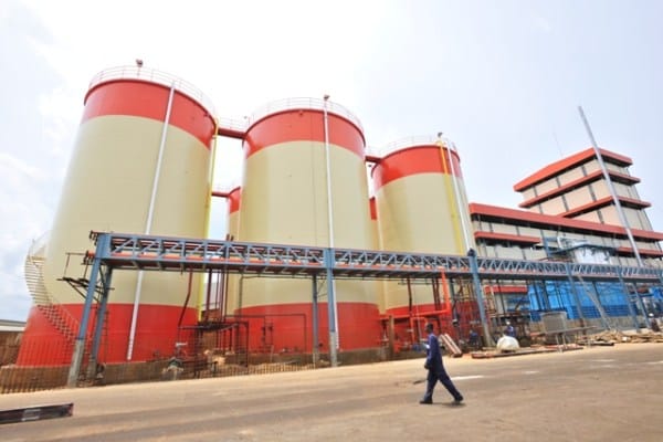 Sugar: Shareholders of Sucrivoire S.A company deprived of dividends for the 5th consecutive year