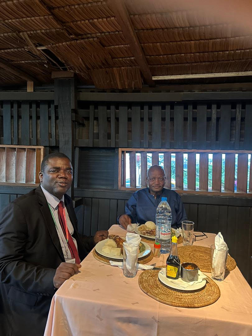 Feuilles vertes photos portraits