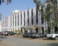 gbm-image-1