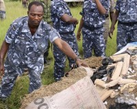 LE TRAFIC DE DROGUE EN AFRIQUE DE L'OUEST RECULE FORTEMENT