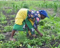 Woman farmer