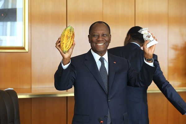 cacao