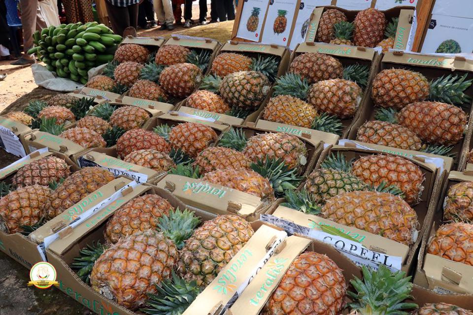 Marché mondial : l'ananas