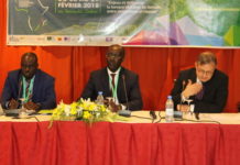 Le secteur bancaire africain face aux risques systémiques