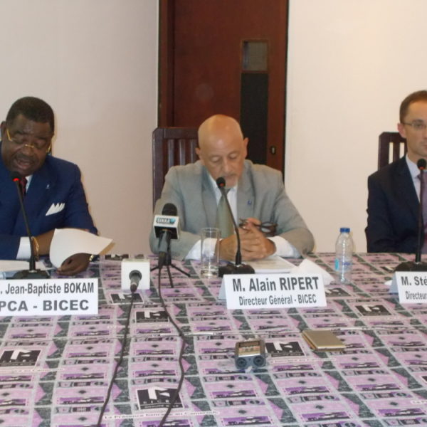 Sylvain Faure arrivera-t-il à bien valoriser BICEC Cameroun?