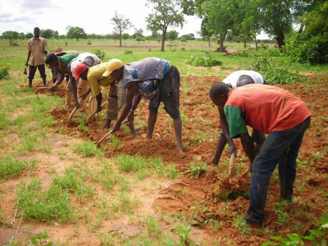 petits-paysans-africains