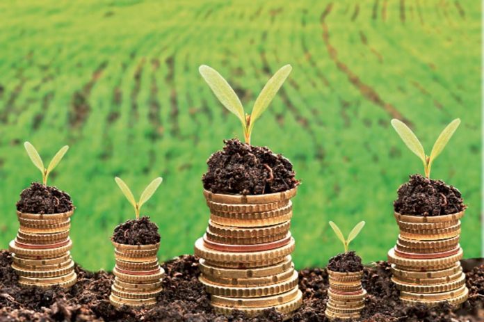 finance climat
