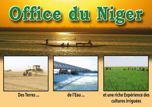Mali : l'Office du Niger met 5OOO hectares à la disposition de la diaspora  | Financial Afrik