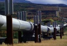 Cameroun : 37 milliards de FCFA de bénéfice généré par le transit du pétrole tchadien