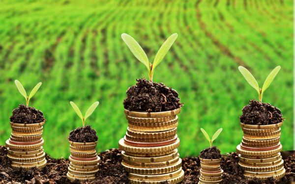 Ghana : la Bourse des obligations vertes bientôt opérationnelle