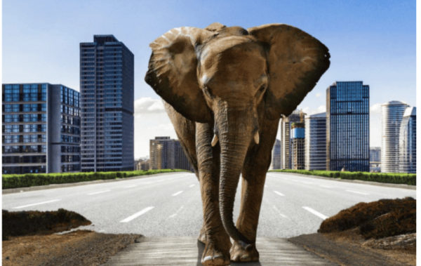 Côte d’Ivoire: l’éléphant se teste sur le compartiment obligataire de la BRVM