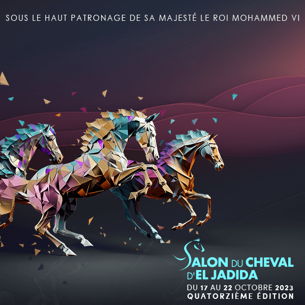 El Jadida: Le Salon du Cheval