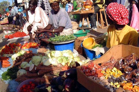 Sénégal : Hausse de 2,6% de l’activité économique au troisième trimestre 2023
