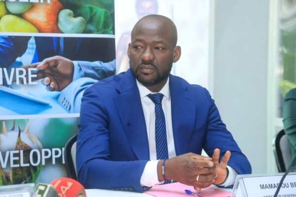 Côte d’Ivoire : le Conseil coton-anacarde désigne Mamadou Berté comme directeur général intérimaire