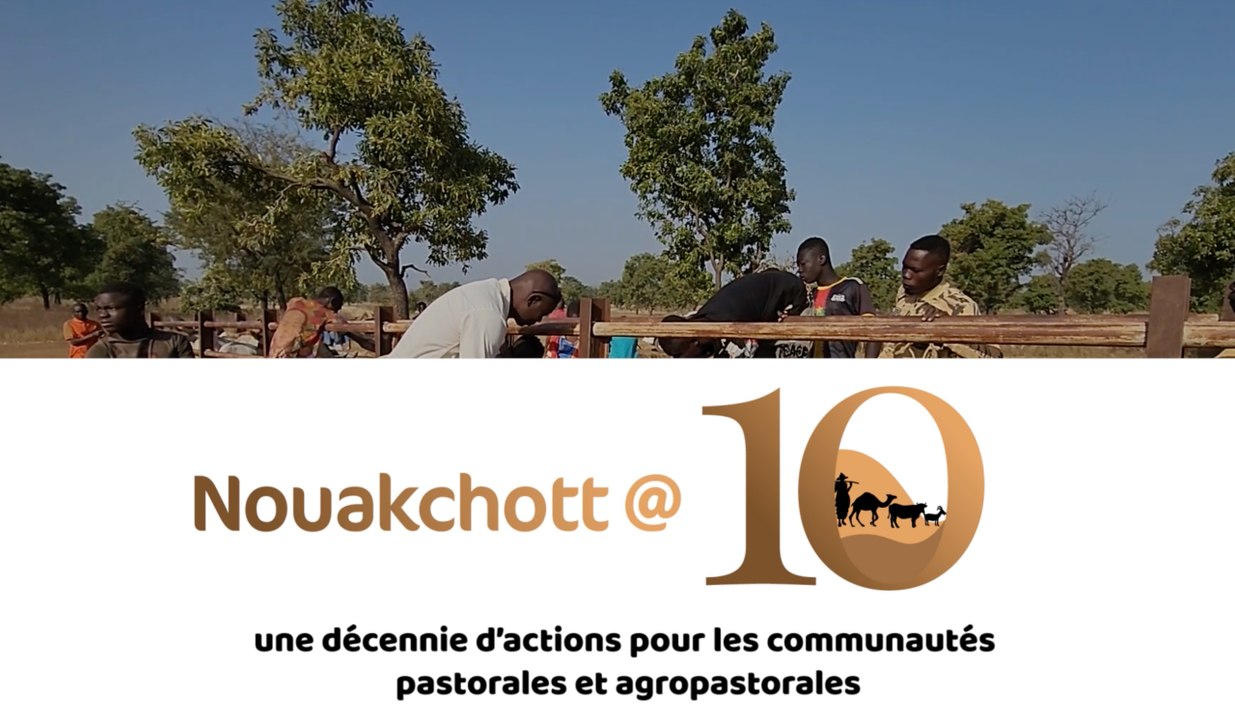 CILSS (Comité Permanent Inter-États de Lutte contre la Sécheresse dans le Sahel)