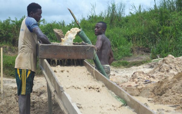 Cameroun : l’orpaillage a détruit plus de 2.000 ha de terres agricoles en 14 ans
