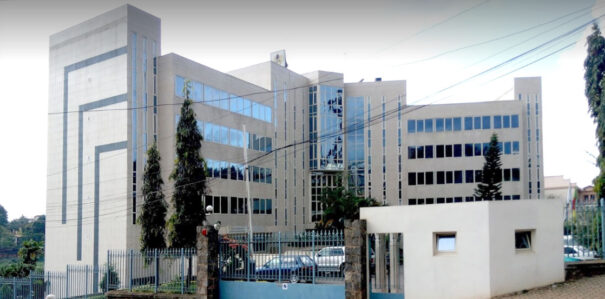 Cameroun : la CSPH contribue à la lutte contre la désertification en investissant 10,2 millions USD pour un centre emplisseur à Kumba