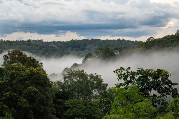 La RDC reçoit du financement pour la réduction d’environ 4 millions de tonnes de CO₂ dans le Mai-Ndombe