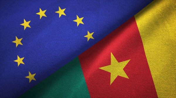 Cameroun : 163 millions USD de pertes fiscales du fait des APE