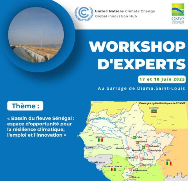 Atelier Régional sur l’Innovation, la Résilience climatique et la Prévention des inondations dans le Bassin du fleuve Sénégal