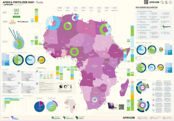 Cartographie des flux commerciaux d’engrais en Afrique : le panorama 2025 met en lumière l’évolution des dynamiques et la dépendance mondiale