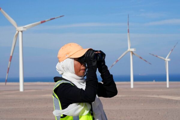 Égypte : AMEA Power finalise un parc éolien de 500 MW