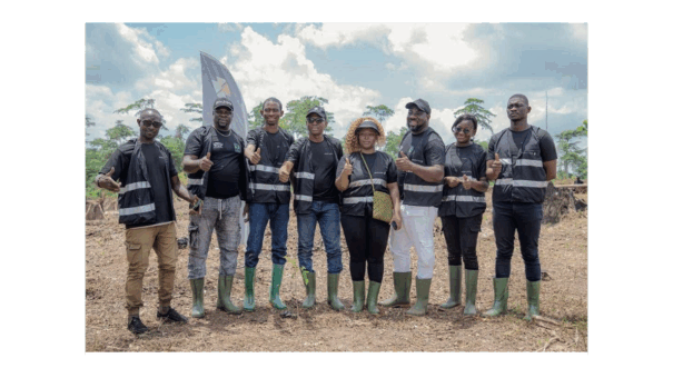 Mansa Green : Mansa Bank participe au reboisement de 60 hectares de forêt