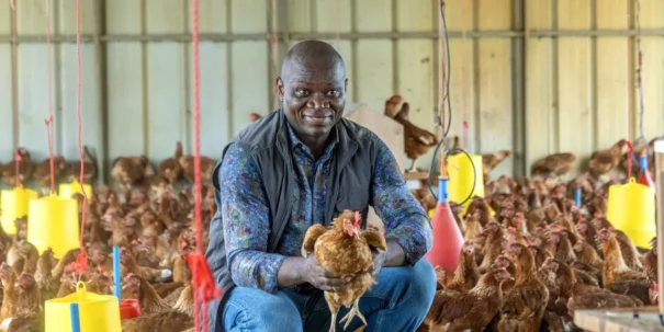Le Gabon siffle (encore) la fin de l’importation du poulet de chair et s’ouvre un marché d’environ 110 millions USD