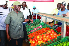 Sénégal : Légère baisse des exportations des produits horticoles au premier trimestre 2025