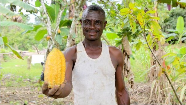 Le Ghana, premier pays africain à émettre des crédits carbone conformes à l’Accord de Paris