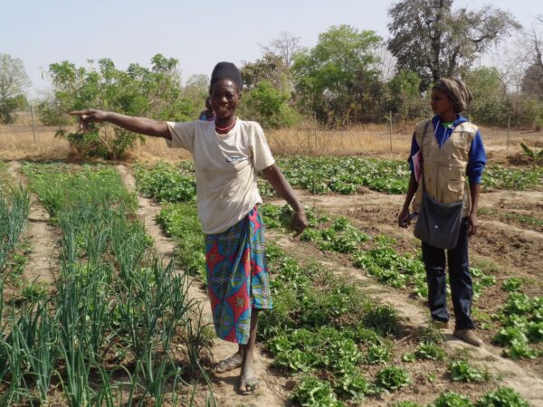 La BAD débloque 30 millions de dollars pour renforcer la résilience agricole au Bénin