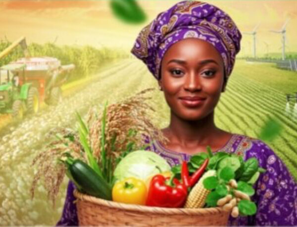 Sénégal : La Banque Agricole titrise ses créances pour 80 milliards FCFA