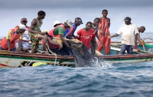 Sénégal : Hausse de 11 574 tonnes des captures de la pêche à fin novembre 2025