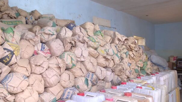 Sénégal : cocaïne, faux billets et recettes record, l’offensive qui fait trembler les trafiquants dans le sud