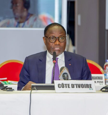 Abidjan met environ 63 milliards USD sur la table des minéraux critiques