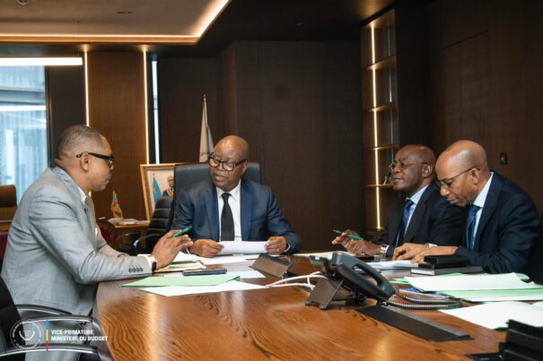 DRC Telecoms Drive State Revenue