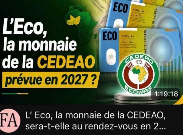 L’ECO, la monnaie unique de la CEDEAO en 2027 : un nouveau départ ou un calendrier trop ambitieux ?