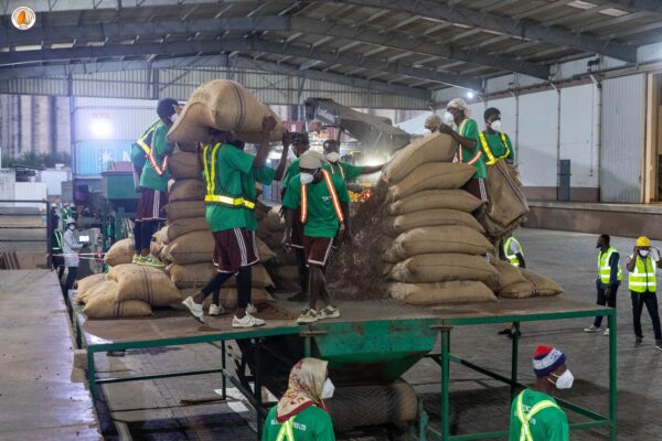 Ghana : la Cocoa Marketing Company passe à l’exploitation 24h/24 pour fluidifier la chaîne du cacao