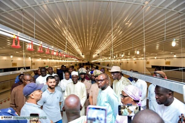 Sénégal : le FONSTAB et la BNDE inaugurent la première unité industrielle sénégalaise de production d’œufs à couver