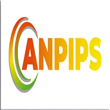 L’Agence Nigérienne pour la Promotion des Investissements Privés et des Projets Stratégiques (ANPIPS)