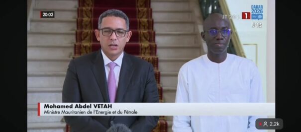 De l’OMVS au ministère de l’Énergie et du Pétrole : Mohamed Ould Abdel Vetah face à la crise électrique mauritanienne