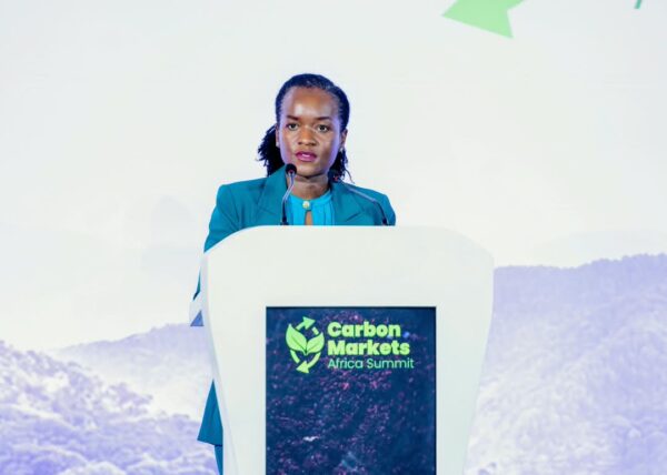 Marchés du carbone : la ministre rwandaise de l’Environnement invite l’Afrique à « reprendre le contrôle de ses actifs naturels »