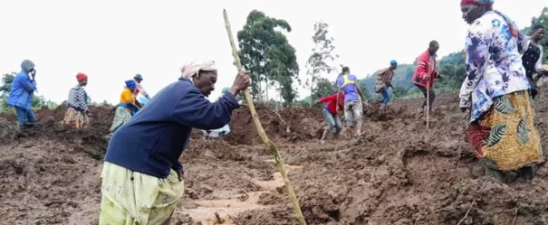Ouganda : la BEI aide les banques à intégrer les risques climatiques