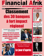 FA 102: classement des 30 banques africaines par impact régional